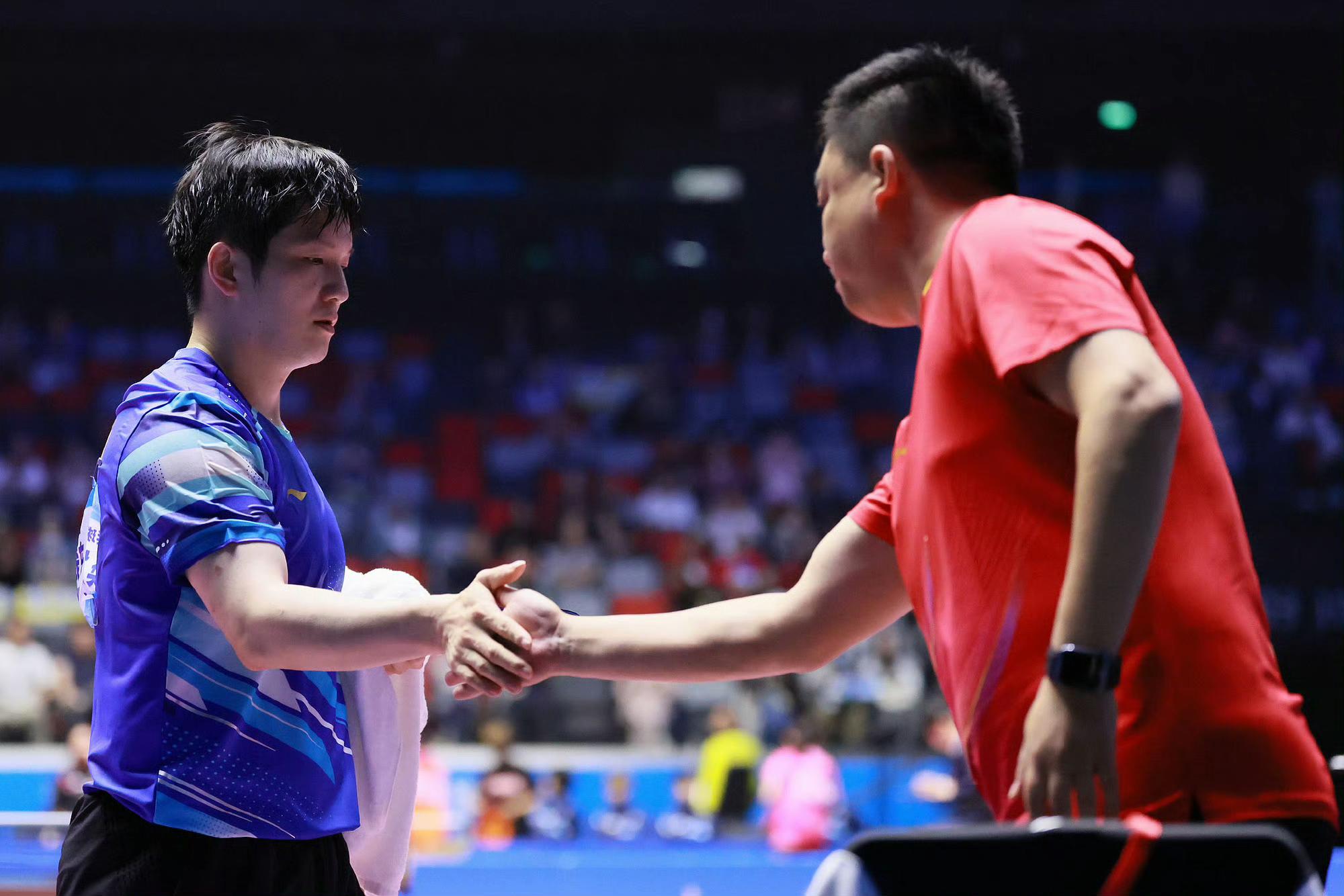 德国队碾压日本队,樊振东带队取胜的简单介绍 德国队碾压日本队,樊振东带队取胜的简单介绍