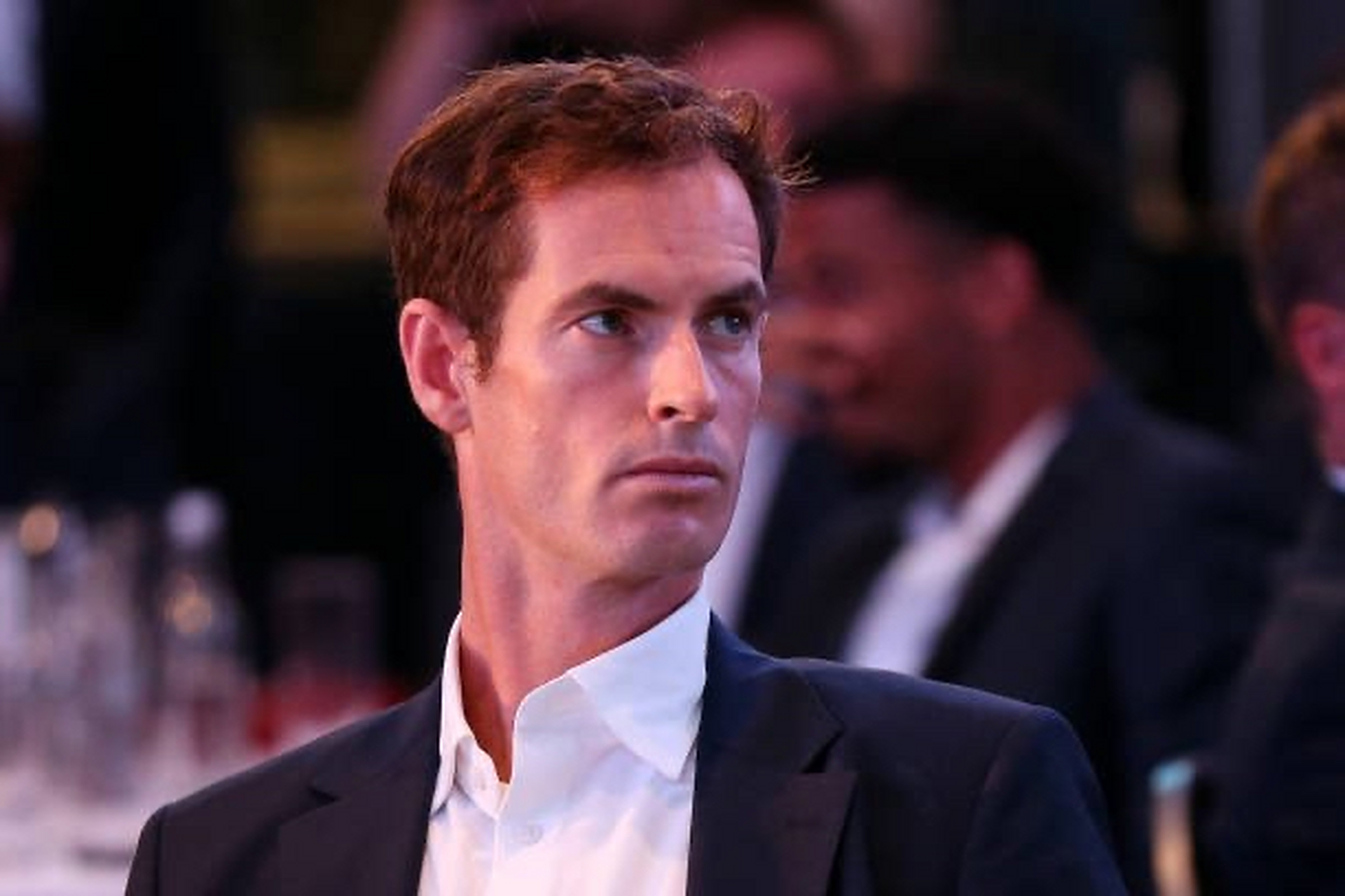 温网完胜戴维斯杯,穆雷扛起全队 温网完胜戴维斯杯,穆雷扛起全队